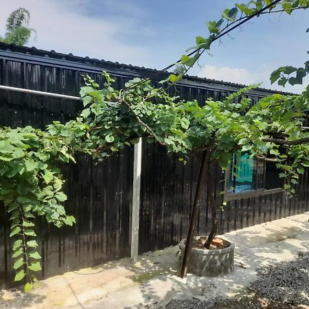บ้านสวนปวิชญา เกษตรอินทรี Fang Εξωτερικό φωτογραφία