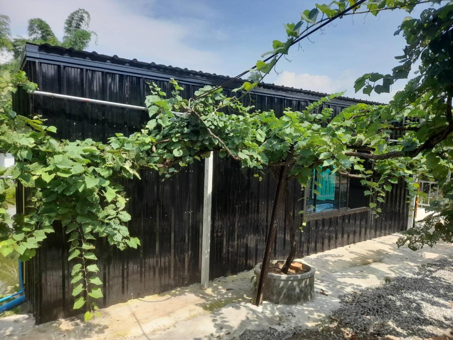 บ้านสวนปวิชญา เกษตรอินทรี Fang Εξωτερικό φωτογραφία